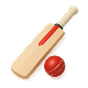 Cricket